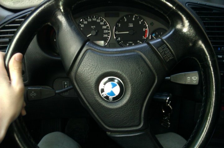 IMAG0495.jpg