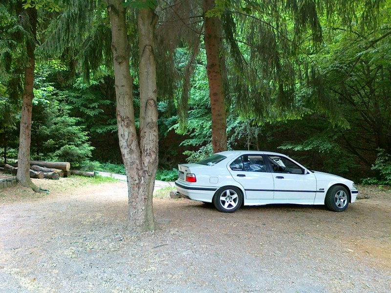 260520121186.jpg