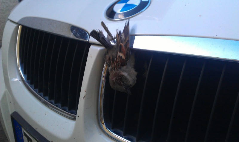 IMAG0045.jpg (1.08 MiB) 1611 zobrazení IMAG0045.jpg