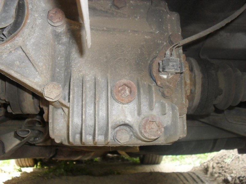SDC13195.JPG