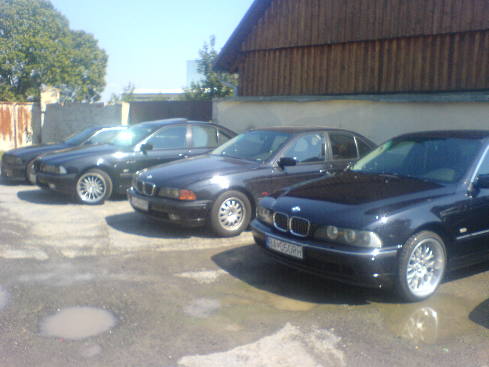 DSC08438.JPG