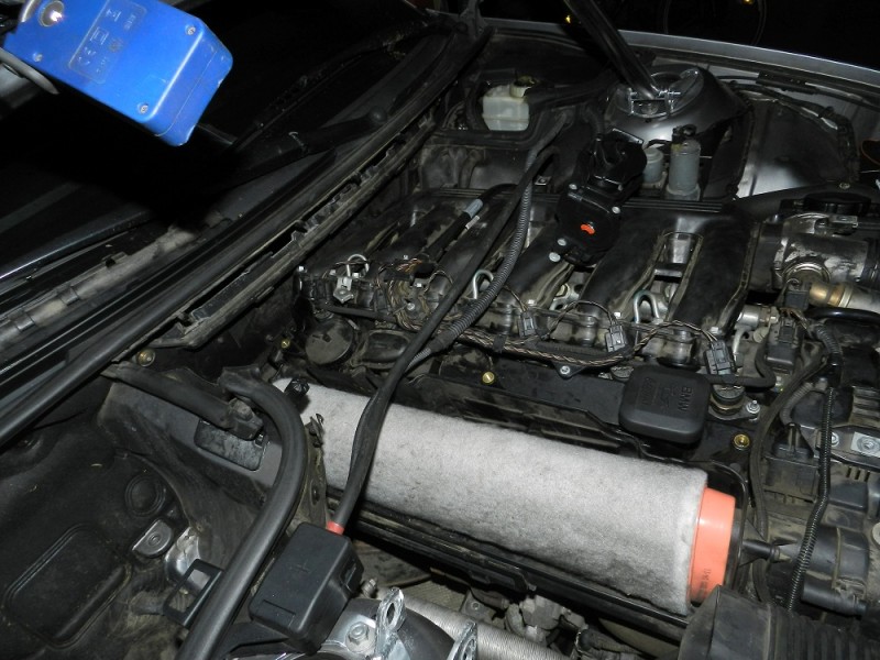 DSCN2802.jpg