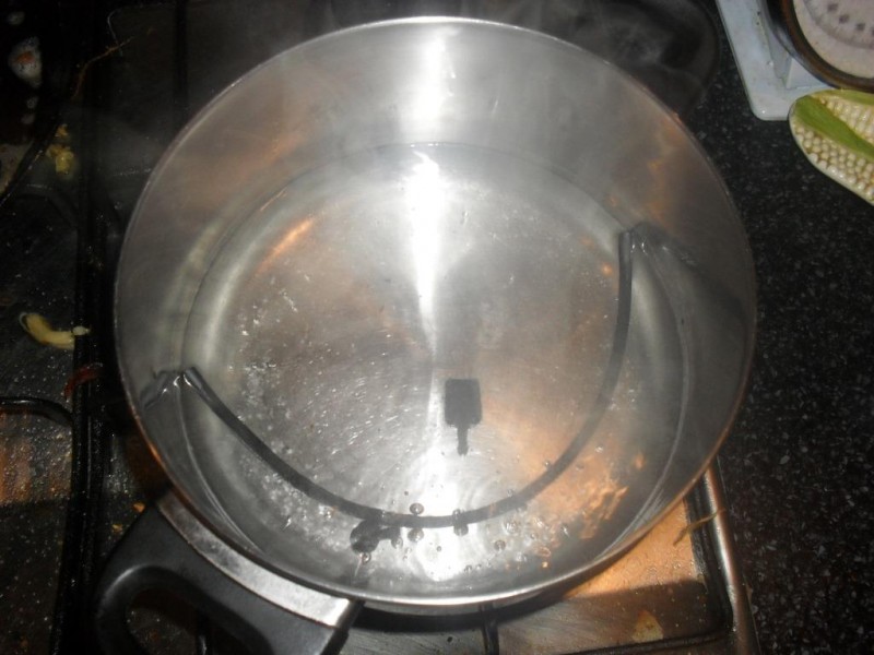 SDC13212.JPG