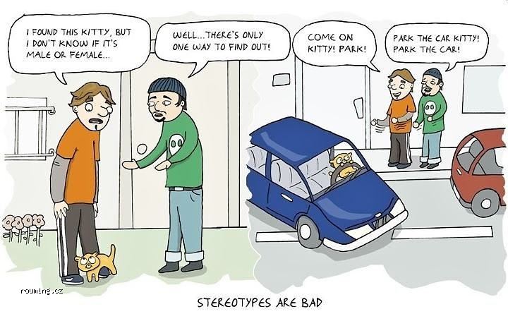 Cats_23-12-2011.jpg