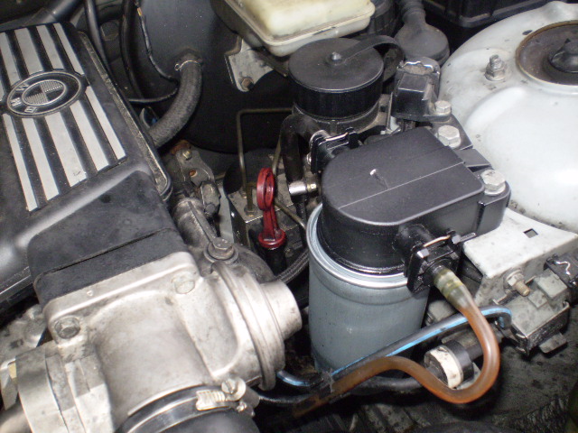 PC160028.JPG