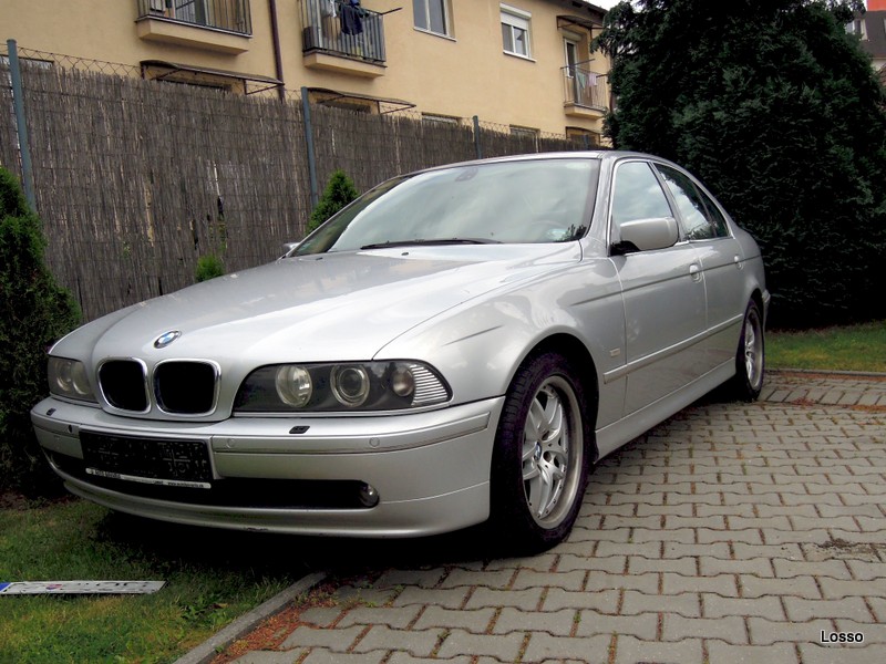 DSCN0407.JPG