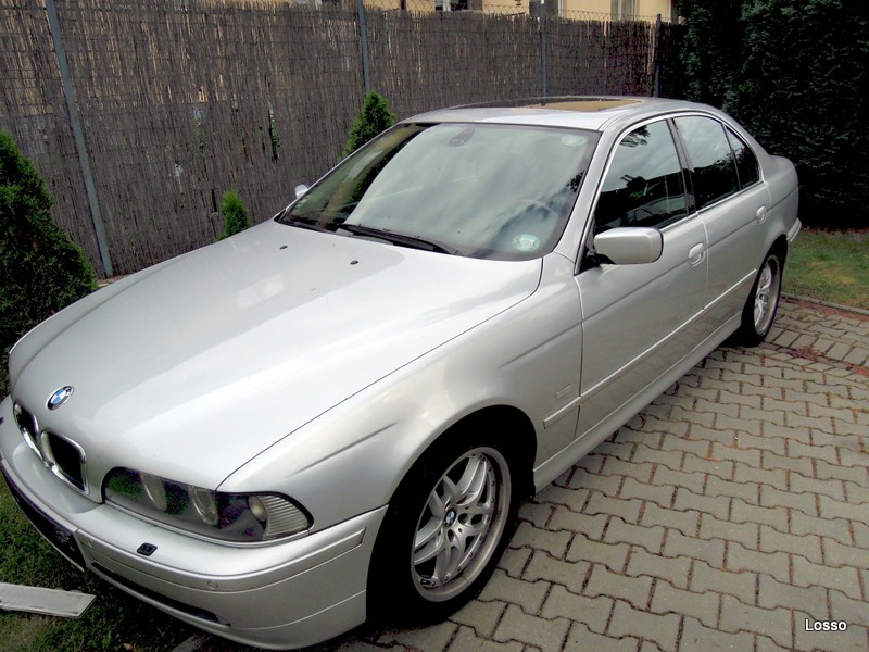 DSCN0411.JPG