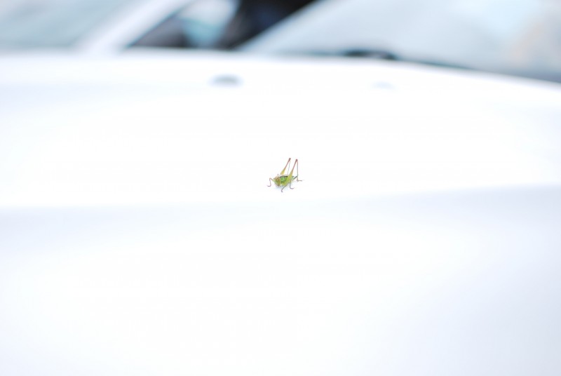 DSC_0011.JPG