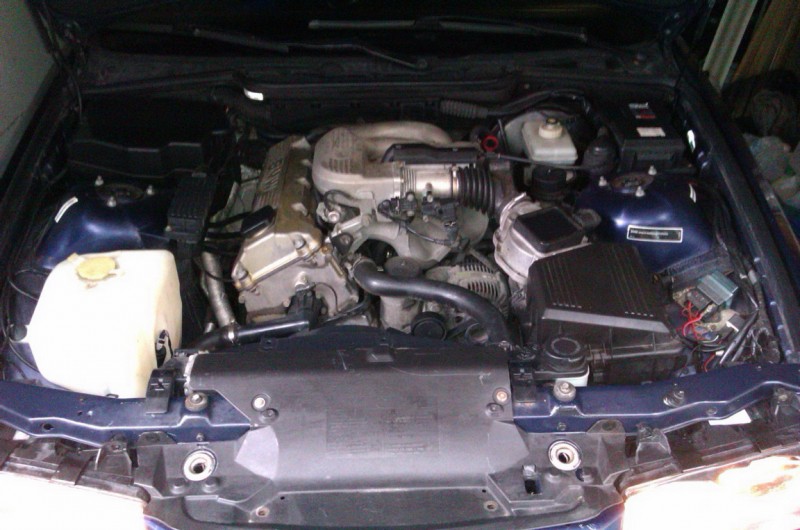 IMAG0544.jpg