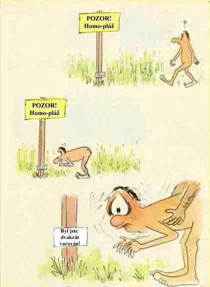 homoplaz.jpg