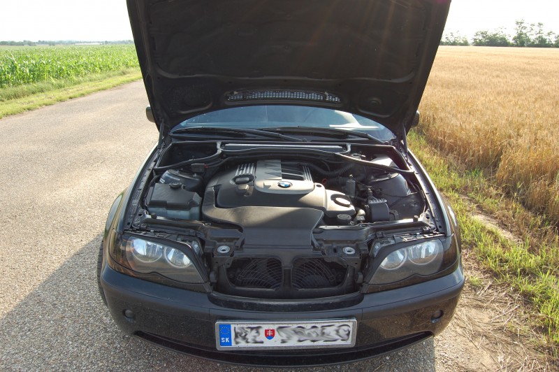 mot.jpg