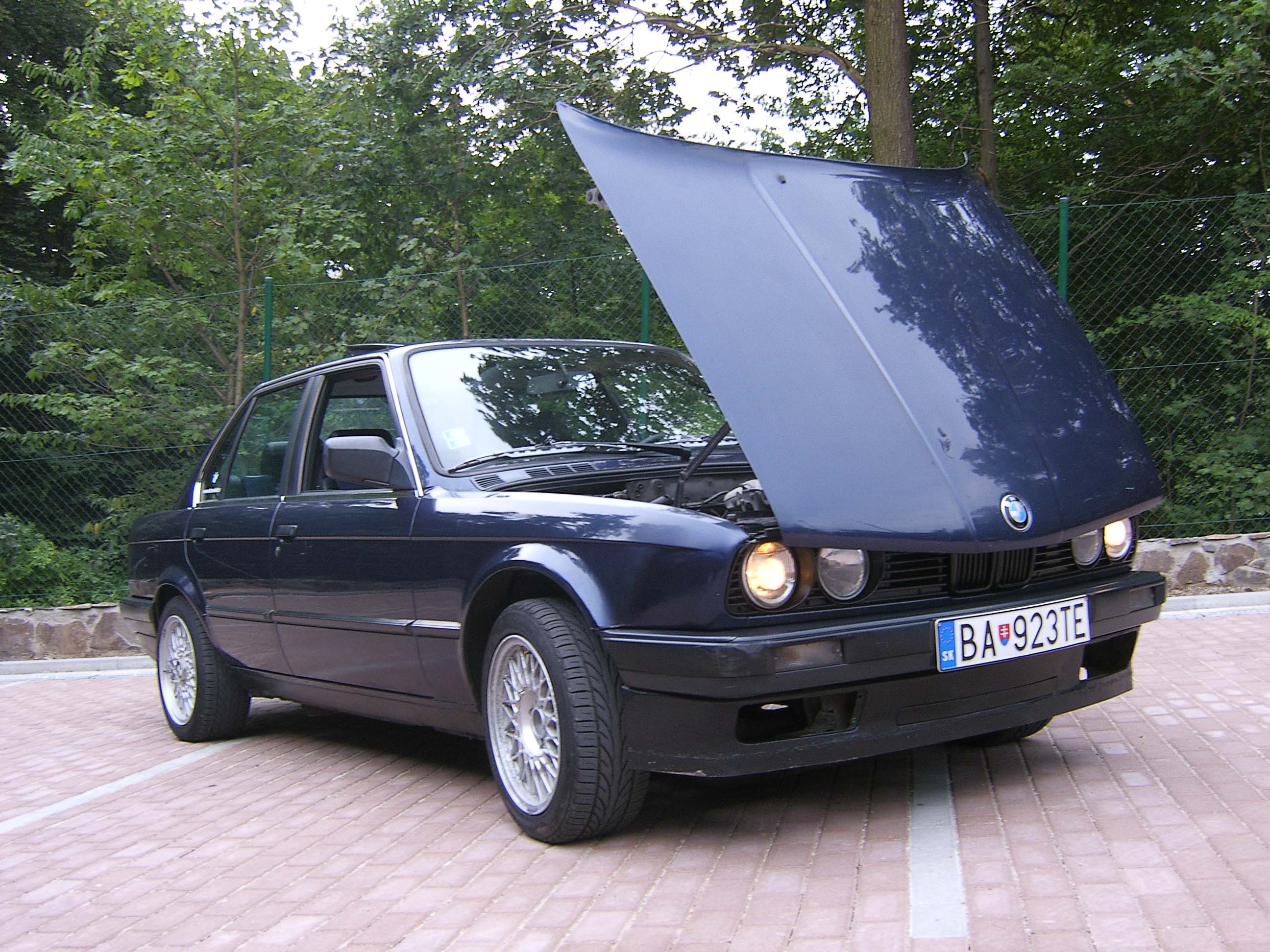 SA500095.jpg