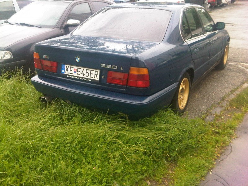 IMG00253-20120622-0933.jpg