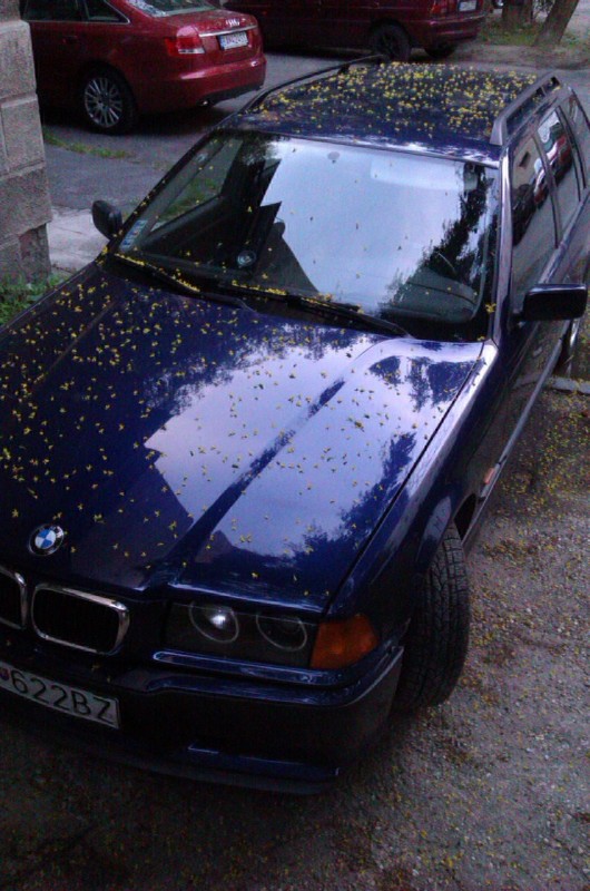 IMAG0608.jpg