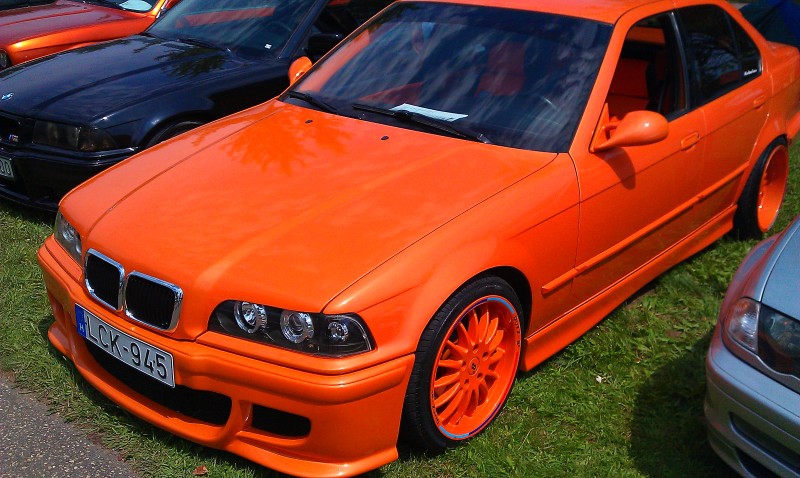 IMAG0348.jpg