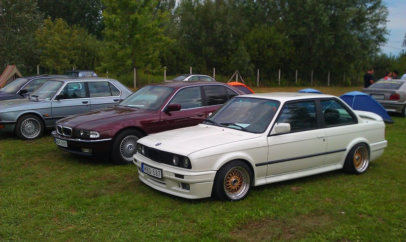 IMAG0337.jpg