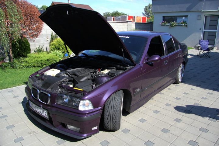 daytona 1 maiky.jpg