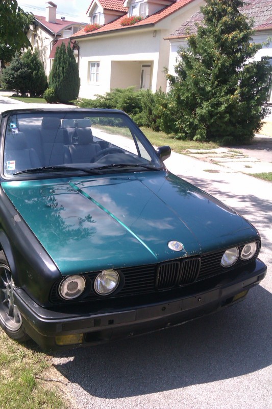 IMAG0101.jpg