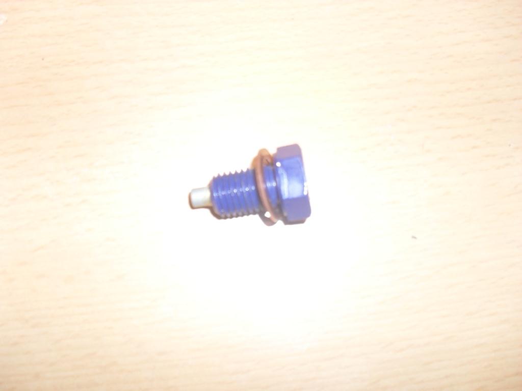 SDC13285.JPG