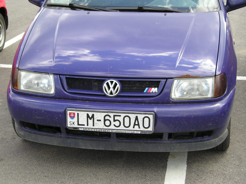 polo m.JPG