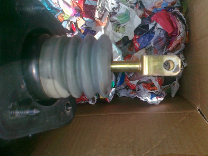 10082012888.jpg