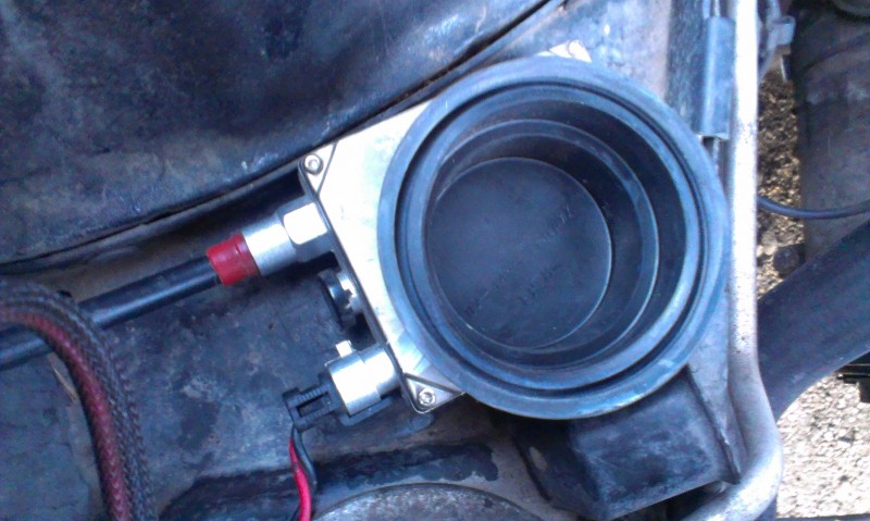IMAG0153.jpg