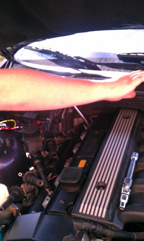 IMAG0560.jpg