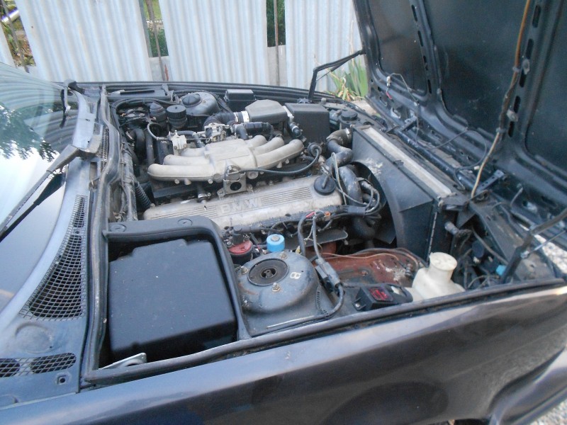 DSCN0486.JPG