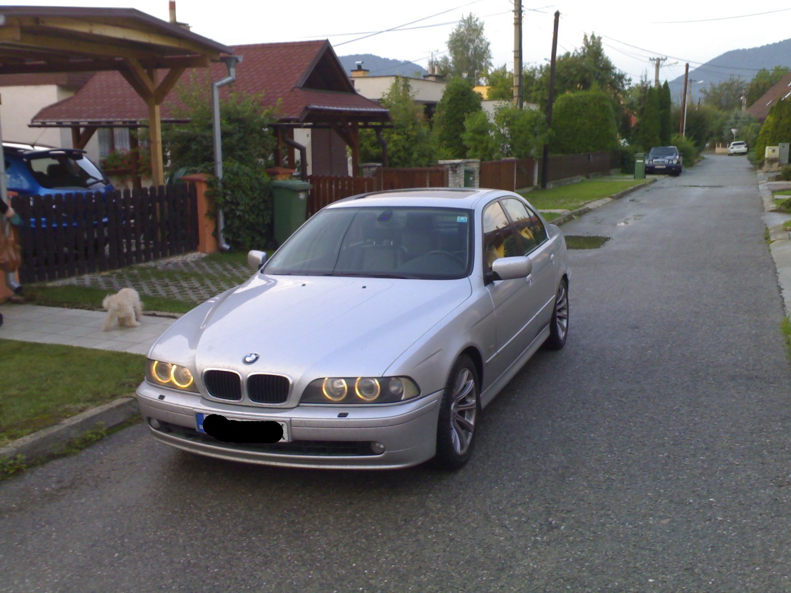 19082007228.jpg
