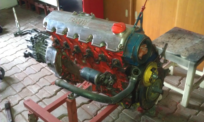IMAG0939.jpg