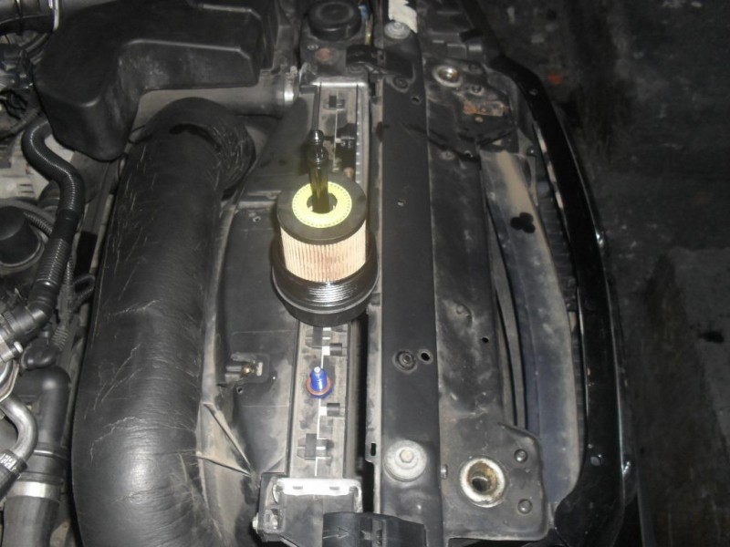 SDC13303.JPG