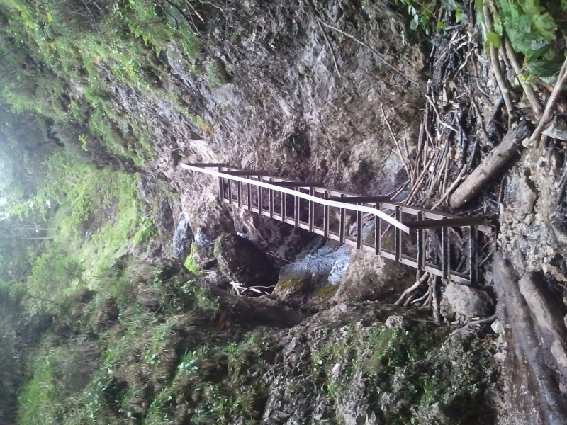 2012-08-25 14.44.04.jpg