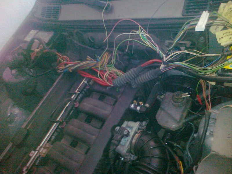 09092012994.jpg