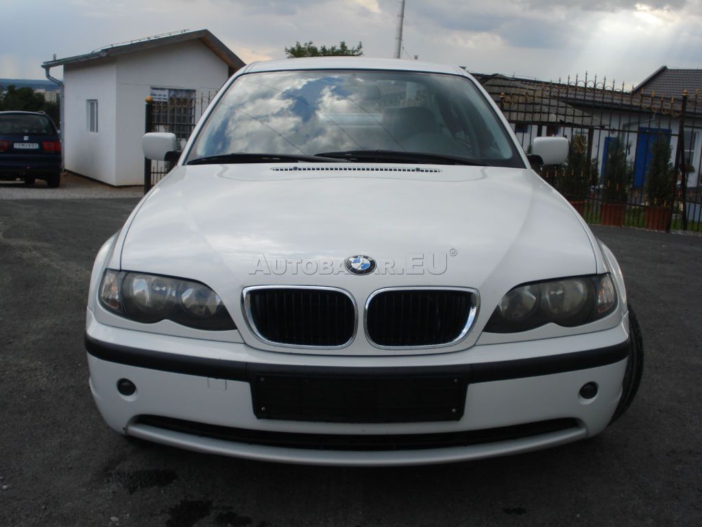 3637279_5.jpg