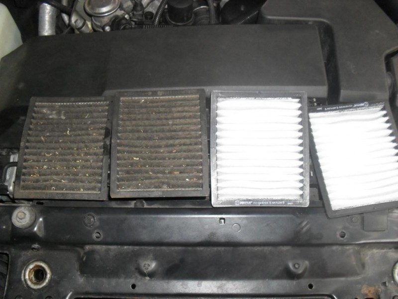 SDC13316.JPG