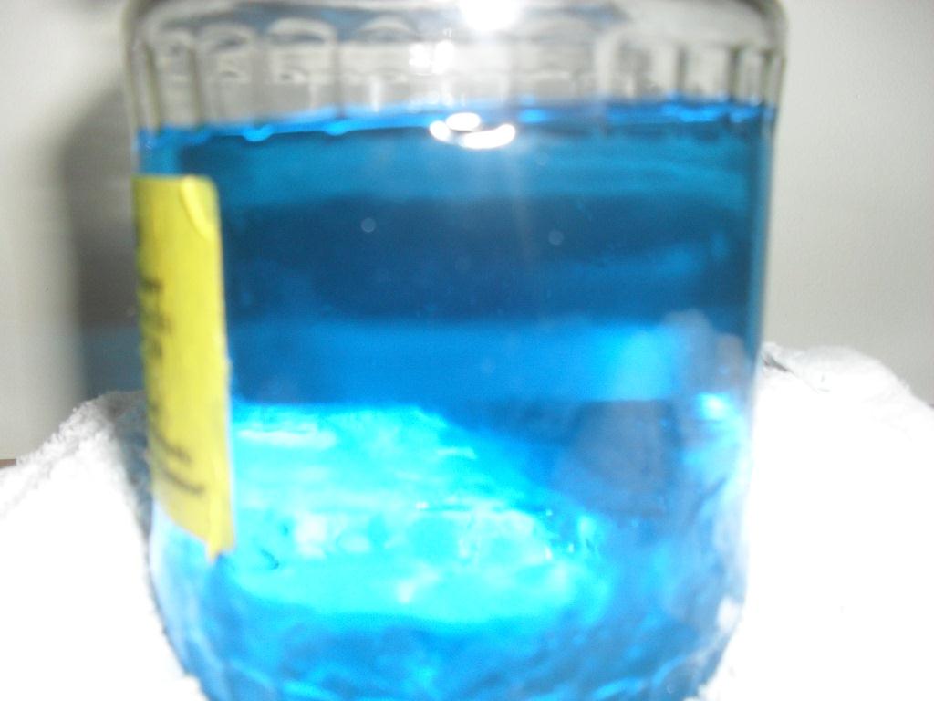 SDC13319.JPG