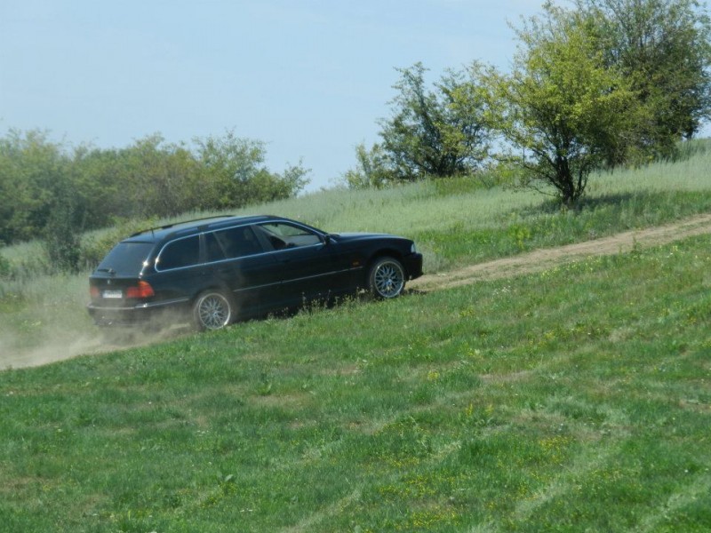 530067_490128781016896_92181231_n.jpg