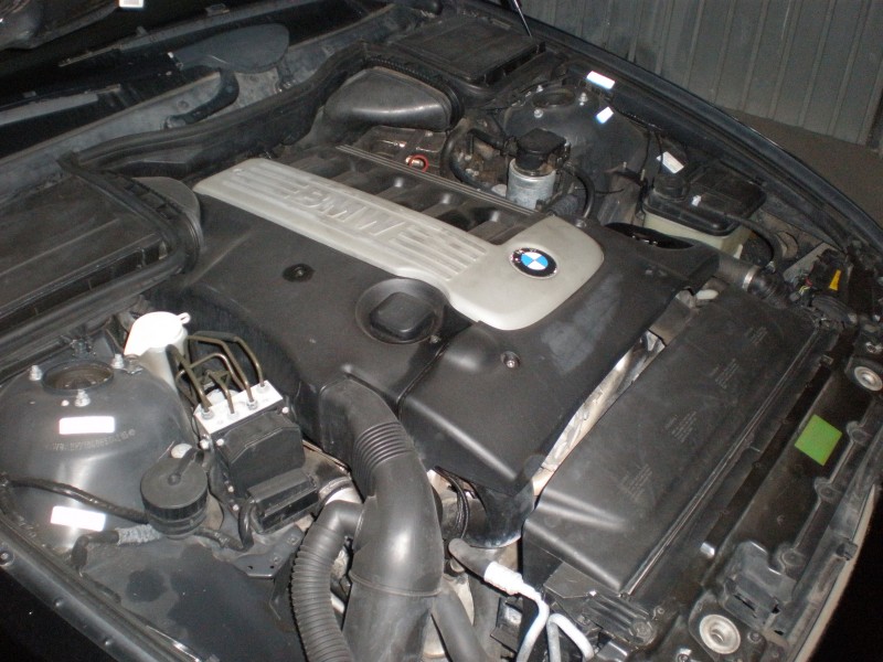 P9260065.JPG