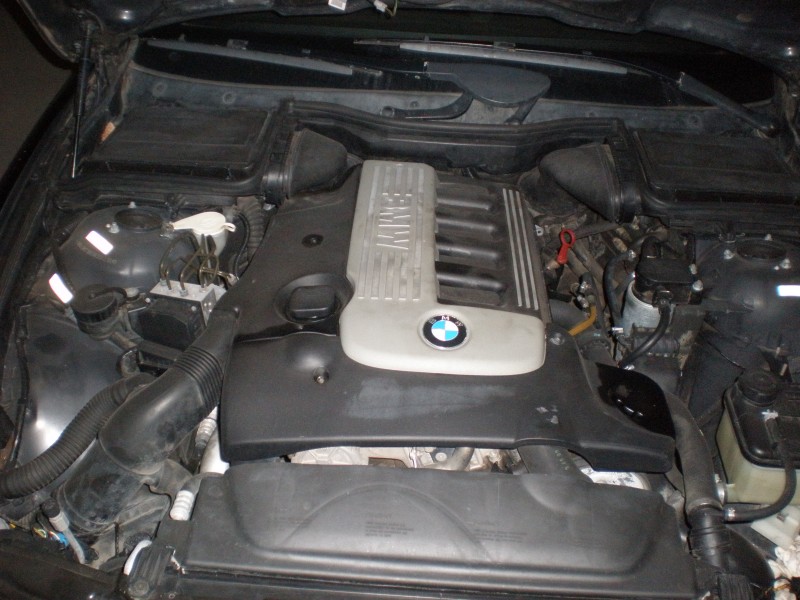 P9260063.JPG
