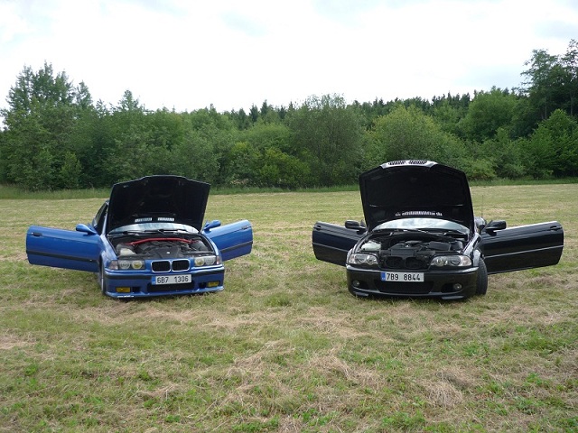 P1100803.jpg