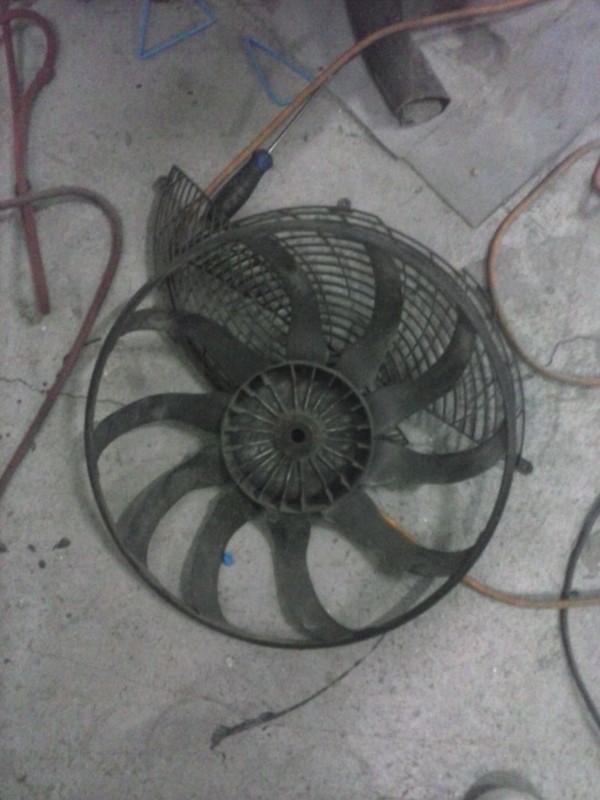 CAM00170.jpg