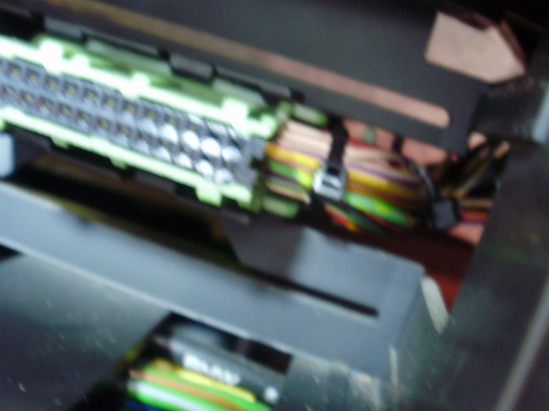 P9300053.JPG