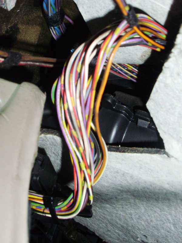 P9300056.JPG