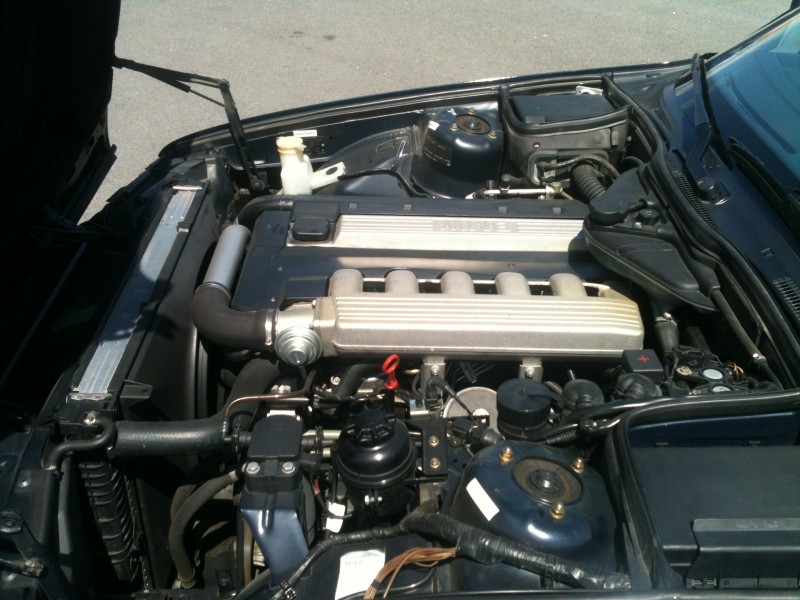 IMG_0341.JPG (1.13 MiB) 3363 zobrazení IMG_0341.JPG