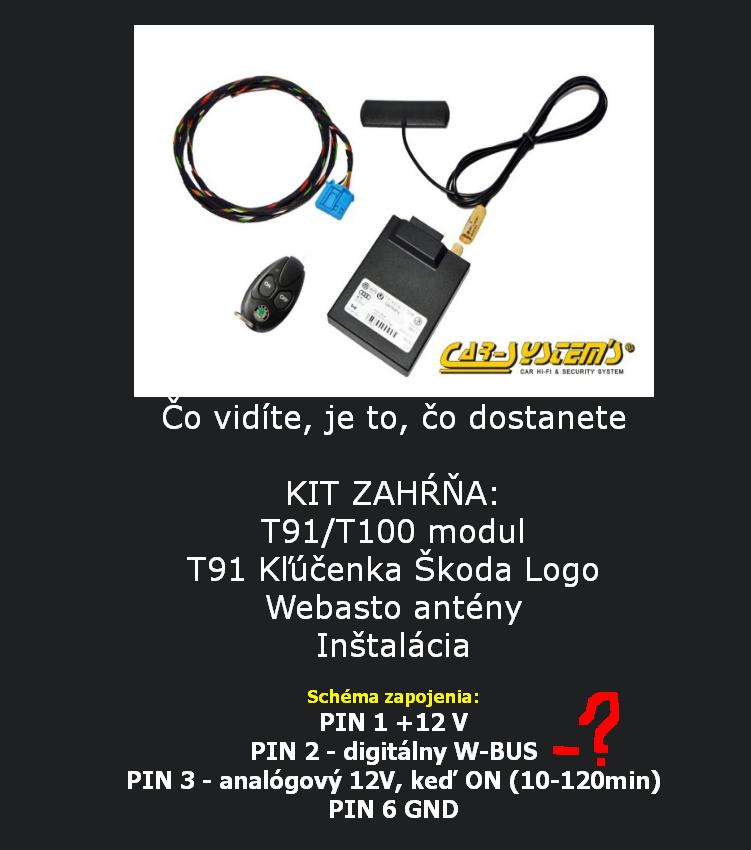 t91.JPG