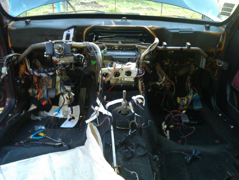 IMAG0529.jpg