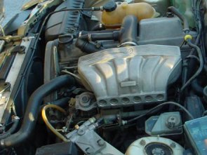 m21a.jpg