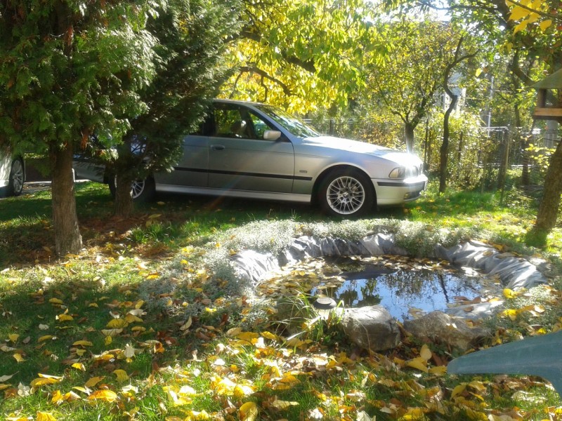 2012-10-20 13.32.15.jpg