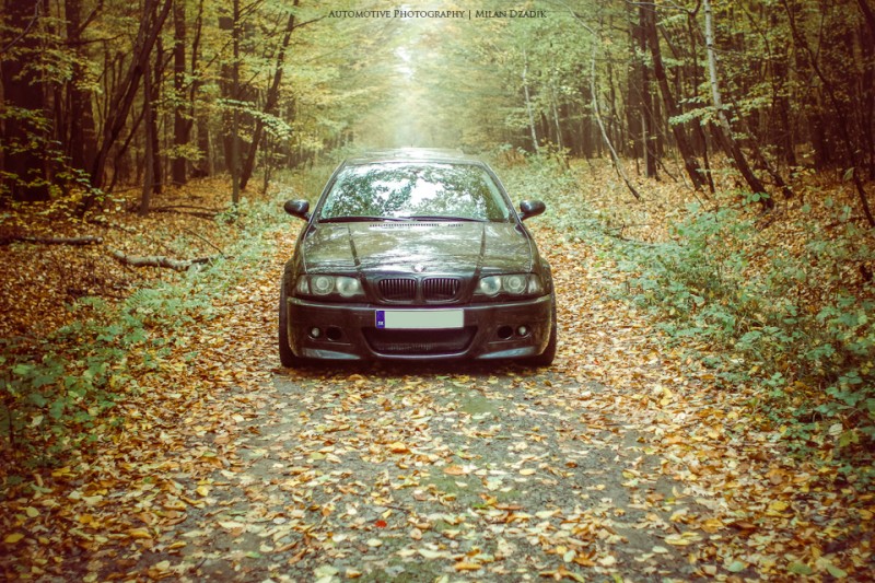 _MG_8825.jpg