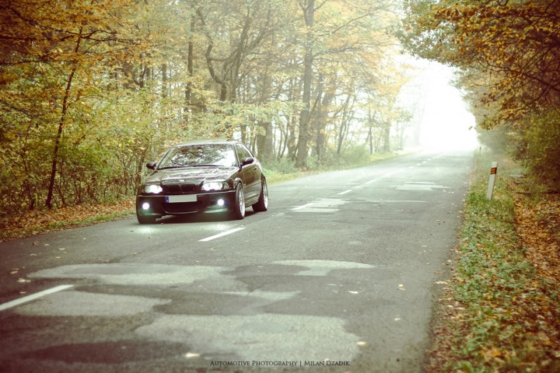 _MG_8905.jpg